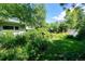 Backyard with vibrant greenery, a birdhouse, and a glimpse of the wooden mural at 990 S Jackson St, Denver, CO 80209