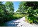 Scenic view of a backyard with lush greenery and a wooden deck at 990 S Jackson St, Denver, CO 80209