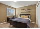 Cozy bedroom with dark furnishings, large window, and two shelves, creating a warm retreat at 5790 Fox Run Ct, Parker, CO 80134