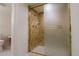 Bathroom featuring a classic shower with frosted sliding glass doors and decorative mosaic tile at 326 E Oak Hills Dr, Castle Rock, CO 80108