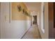 Hallway featuring unique wall decor, carpet flooring, and natural light from side windows at 326 E Oak Hills Dr, Castle Rock, CO 80108