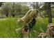 Yard art featuring a statue of a mountain lion at 326 E Oak Hills Dr, Castle Rock, CO 80108