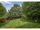A lush green backyard featuring a well-maintained lawn, mature trees, and privacy fencing at 611 Branding Iron Ln, Castle Rock, CO 80104