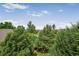 A view through the trees of neighborhood rooftops at 611 Branding Iron Ln, Castle Rock, CO 80104