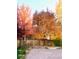 View of a tree lined street in Autumn at 9864 S Garland Ct, Littleton, CO 80127