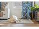 Dog lounging on a rug in a sunlit living room at 17214 W 94Th Ave, Arvada, CO 80007