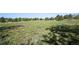 Vast and open land with lush greenery and mature trees, offering a picturesque view at 11510 Lewistown St, Commerce City, CO 80022