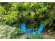 Secluded backyard nook with blue Adirondack chairs surrounded by lush greenery at 1635 Poplar St, Denver, CO 80220