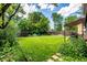 Large, lush backyard featuring mature trees, landscaping, and a shed at 1635 Poplar St, Denver, CO 80220