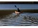 Lone kayaker gliding through peaceful waters, enjoying the calm lake scenery and the tranquility of the outdoors at 5645 W 5Th Ave # 5645 & 5655, Lakewood, CO 80226