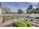 Community garden featuring raised beds, gravel paths, and privacy fencing on a sunny day at 5950 Gunbarrel Ave # F, Boulder, CO 80301