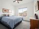 Cozy bedroom with large window, ceiling fan, light blue bedspread and grey dresser at 5681 Water Avens Dr, Castle Rock, CO 80104