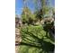 Spacious and well-maintained backyard with green grass and mature trees, offering plenty of room at 11245 San Joaquin Rdg, Littleton, CO 80127