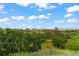 Scenic landscape featuring rolling hills and a distant mountain range under a partly cloudy sky at 1380 Oak Valley Rd, Sedalia, CO 80135