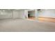 Expansive basement featuring plush carpeting and an open layout for versatile use at 7837 Aravon Ct, Lone Tree, CO 80124