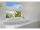 The bathroom features a large soaking tub with a view of the outside trees at 7837 Aravon Ct, Lone Tree, CO 80124