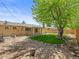 Lush backyard with well-maintained lawn, mature trees, and a covered patio area at 1195 S Kendall St, Lakewood, CO 80232