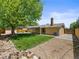 Spacious backyard featuring a covered patio, mature tree, and access to the driveway at 1195 S Kendall St, Lakewood, CO 80232