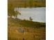 Picturesque waterfront setting featuring a horse grazing peacefully in a sunlit field at 7552 Miller Ct, Arvada, CO 80005