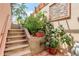 Enclosed backyard with garden, concrete steps and mature landscaping at 1460 Quince Ave # 102, Boulder, CO 80304