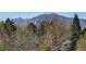 Scenic mountain views from this property surrounded by lush green trees and mature foliage at 1460 Quince Ave # 102, Boulder, CO 80304