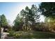 Landscaped backyard with mature trees providing plenty of shade at 924 Glen Oaks Ave, Castle Pines, CO 80108