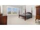 Spacious bedroom featuring carpet, large windows with shutters, and dark wood furniture at 11541 Quartzite Way, Parker, CO 80138
