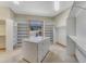 Spacious walk-in closet with custom shelving, an island, and a window with a view at 1252 Rosewind Cir, Castle Rock, CO 80104