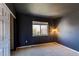 Dark bedroom features a large window, neutral carpet, and a floor lamp at 18995 E Bellisario Creek Pl, Parker, CO 80134