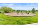 Outdoor playground surrounded by green grass, offering a fun recreation area at 11684 Park South Loop, Parker, CO 80138