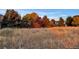 Landscaping with tall grasses and native plants at 2226 Weatherstone Cir, Highlands Ranch, CO 80126