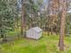 View of backyard shed with a gray roof surrounded by a chain link fence, pine trees, and grass at 26752 Vosler St, Conifer, CO 80433