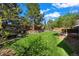 Well-maintained lawn and mature trees offers plenty of space in the backyard, plus a seating area at 1113 Southbury Pl, Highlands Ranch, CO 80129