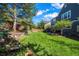 Spacious backyard with lush lawn, garden area, mature trees, rock wall and patio is perfect for outdoor living at 1113 Southbury Pl, Highlands Ranch, CO 80129