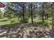 Relaxing backyard setting with mature trees and natural landscaping at 173 Silver Cloud Ln, Boulder, CO 80302