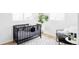 Bedroom with crib, modern area rug, large potted plant, and chair with throw at 8651 Franklin St, Denver, CO 80229