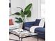 Close up of a modern blue sofa with stylish decor accents and indoor plant near the window at 8651 Franklin St, Denver, CO 80229