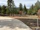 An expansive property surrounded by a mature forest featuring a concrete driveway at 8229 Red Rock Pl, Larkspur, CO 80118