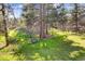 Serene backyard with mature trees and a bench, creating a peaceful outdoor retreat at 8409 Lightening View Dr, Parker, CO 80134
