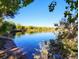 Scenic lake view with trees surrounding the water and blue sky above, offering a serene and natural setting at 16839 E Amherst E Ave, Aurora, CO 80013