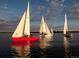 Sailboats gliding across the water with full sails, showcasing a recreational lake activity at 16839 E Amherst E Ave, Aurora, CO 80013
