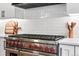 Close up of a commercial style kitchen stove with red knobs and tile backsplash at 3008 N York St, Denver, CO 80205