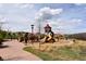 View of the community playground, featuring a variety of play structures at 4157 Astrion Ct, Castle Rock, CO 80104