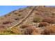 Outdoor stairway traversing a hillside with natural foliage and hikers against a bright blue sky at 4157 Astrion Ct, Castle Rock, CO 80104