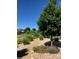Beautifully landscaped yard with mature trees, flowering shrubs, and a winding gravel path at 6999 S Tempe Ct, Aurora, CO 80016