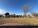Large backyard with playset and tree at 2357 E Mineral Ave, Centennial, CO 80122