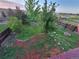 Landscaped backyard featuring a fire pit, mature trees and mulch beds, perfect for outdoor relaxation at 6193 Brantly Ave, Castle Rock, CO 80104