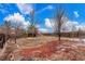 Backyard with a mulch area and a playground at 6193 Brantly Ave, Castle Rock, CO 80104