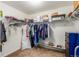 A well-organized walk-in closet with shelving, storage for shoes and bags, and ample hanging space at 6193 Brantly Ave, Castle Rock, CO 80104