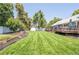 Lush backyard with healthy lawn and garden area, complemented by a deck and shed at 995 Chase St, Lakewood, CO 80214